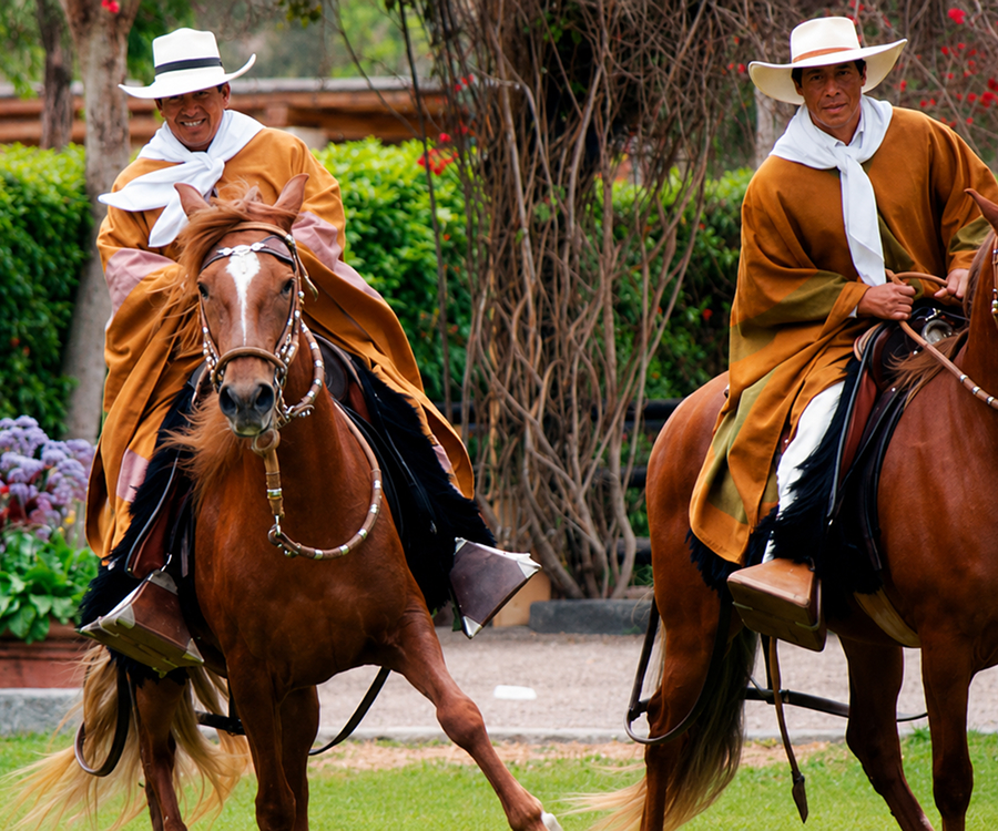 Pachacamac y Caballos de Paso