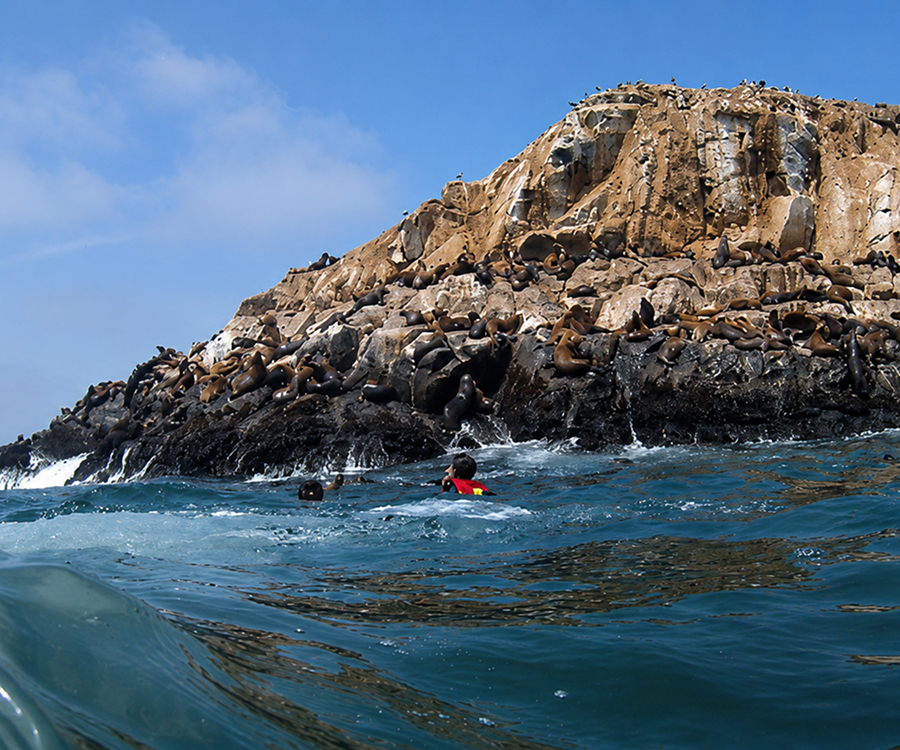 Isla Palomino