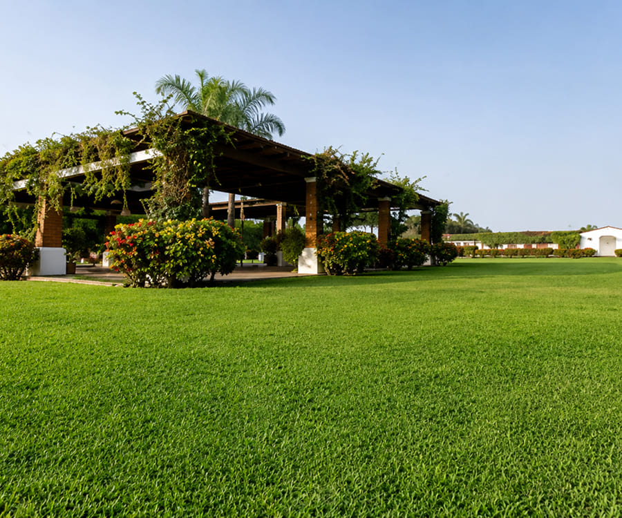 Pachacamac + Show De Caballos Con Almuerzo En Hacienda Ficus