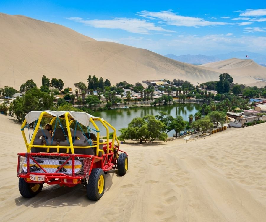 Full Day Paracas Ica