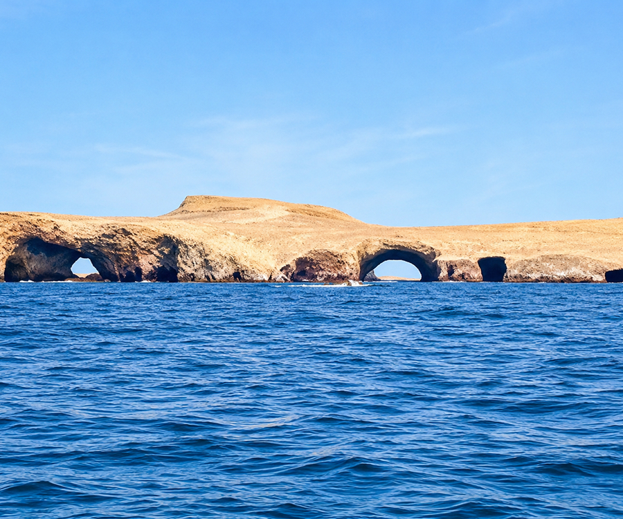 Paracas Ica 2 Días y 1 Noche